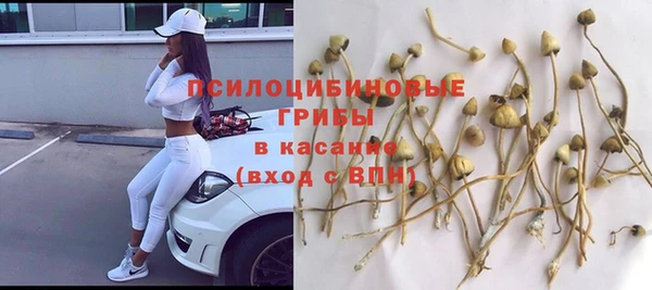 тгк Володарск