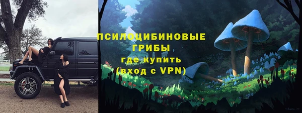 тгк Володарск