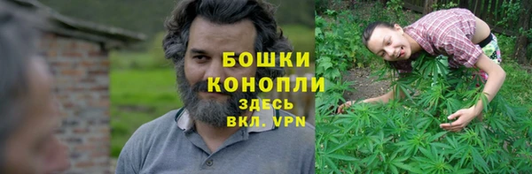 тгк Володарск