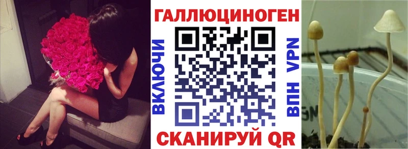 Псилоцибиновые грибы мухоморы  где купить наркоту  Ипатово 